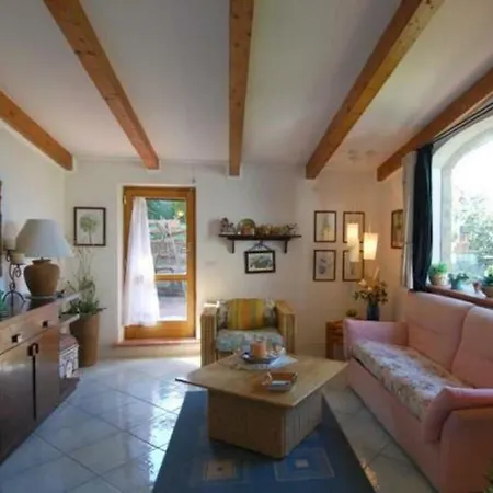 La Violetta * Termini