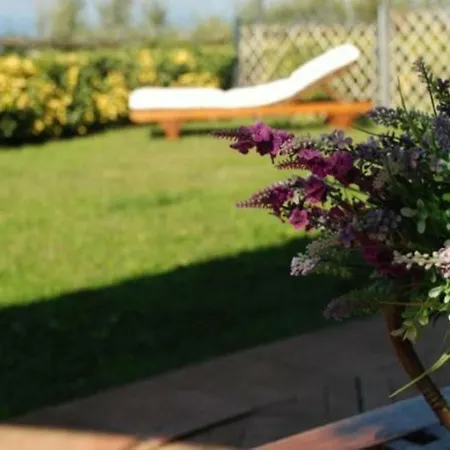 La Violetta ヴィラ *