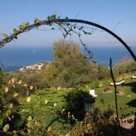 La Violetta ヴィラ