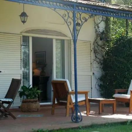 La Violetta * Termini